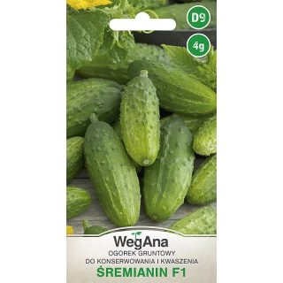 Ogórek konserwowy - gruntowy Śremianin F1 4g