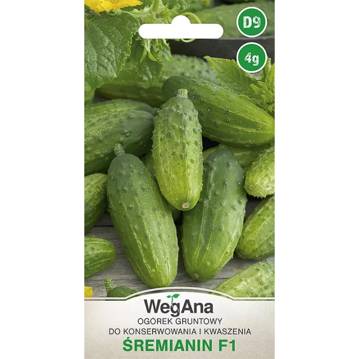 Ogórek konserwowy - gruntowy Śremianin F1 4g