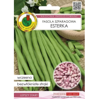 FASOLA ZIELONA KARŁOWA ESTERKA INKRUSTOWANA 30g SZPARAGOWA