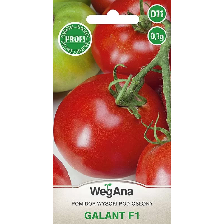 Pomidor - wysoki szklarniowy Galant F1 0,1g