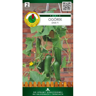 OGÓREK IZNIK F1 10z