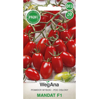 Pomidor - wysoki szklarniowy Mandat F1 20 nasion