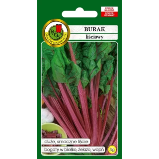 BURAK LIŚCIOWY RHUBARB CHARD 3g