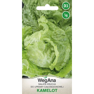 Sałata - krucha do całosezonowej uprawy Kamelot 1g