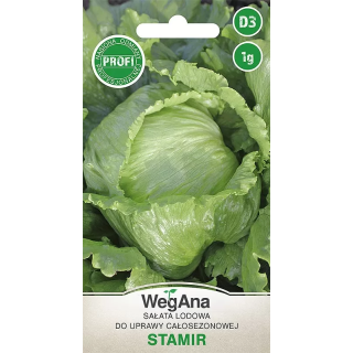 Sałata lodowa do całosezonowej uprawy Stamir 1g