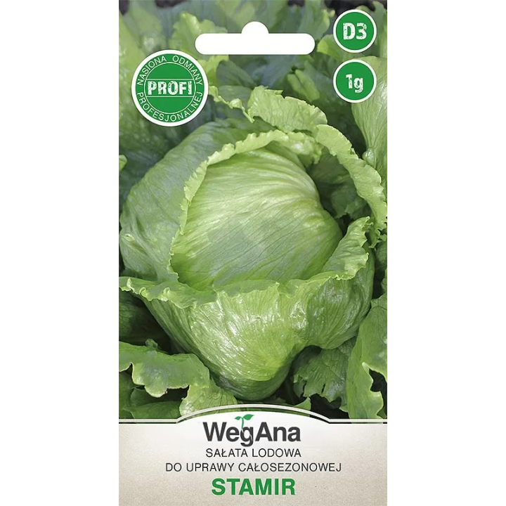 Sałata lodowa do całosezonowej uprawy Stamir 1g
