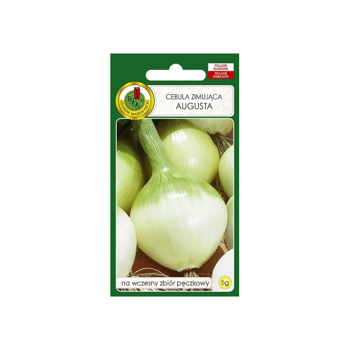 CEBULA ZIMUJĄCA AUGUSTA 5g