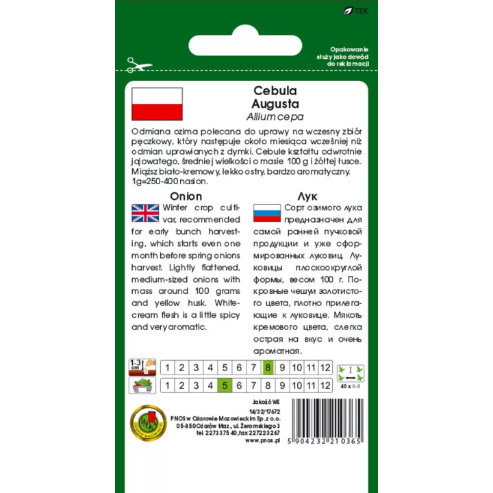CEBULA ZIMUJĄCA AUGUSTA 5g