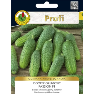 OGÓREK DO GRUNTU I POD OSŁONY PASSION F1 35z