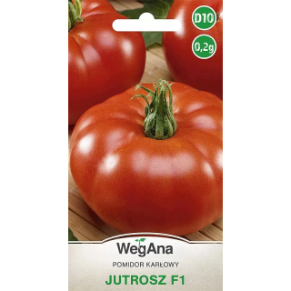 Pomidor - karłowy Jutrosz F1 0,2g WegAna