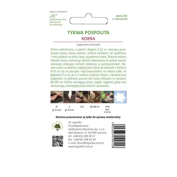 TYKWA KOBRA 1g DYNIA POSPOLITA