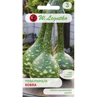 TYKWA KOBRA 1g DYNIA POSPOLITA