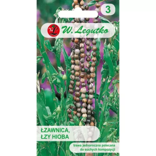 ŁZAWICA/ŁZY HIOBA 3G