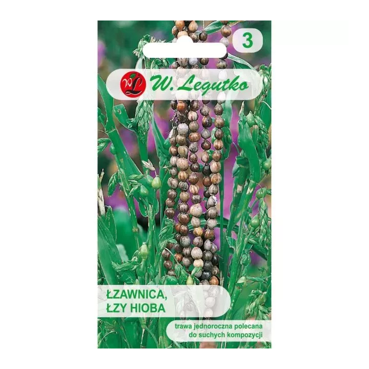 ŁZAWICA/ŁZY HIOBA 3G