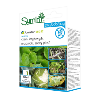AMISTAR 250 SC 50 ml