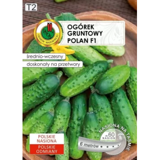 OGÓREK GRUNTOWY POLAN 6m