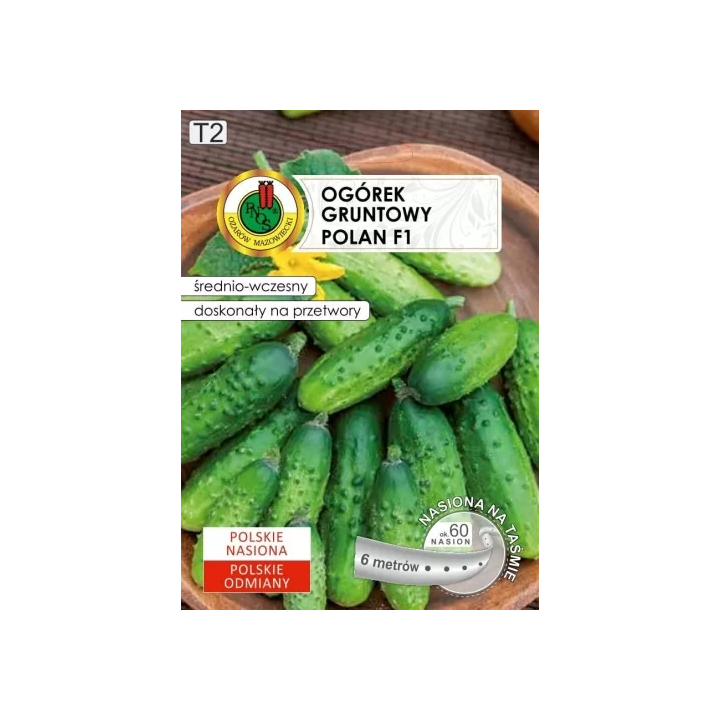 OGÓREK GRUNTOWY POLAN 6m