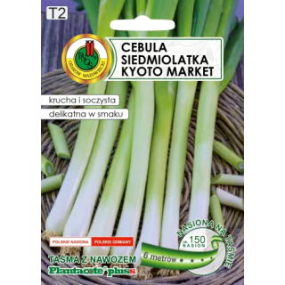 CEBULA SIEDMIOLATKA KYOTO MARKET Z NAWOZEM 6m