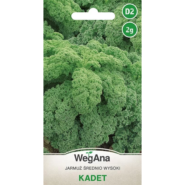 Jarmuż Kadet 2g