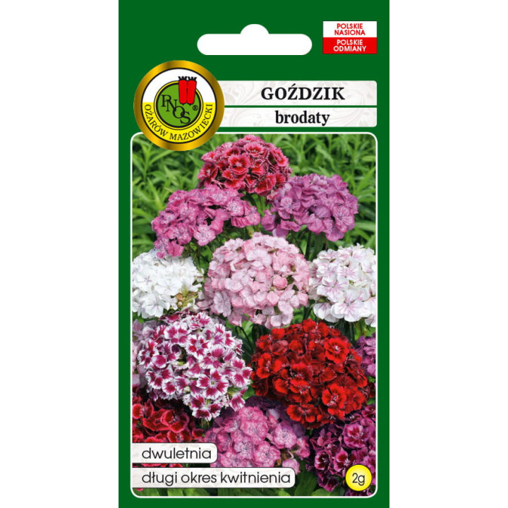 GOŹDZIK BRODATY MIESZANY 2g