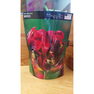 TULIPAN ROCOCO 1 SZT.