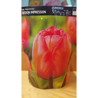 TULIPAN DESIGN IMPRESSION 1 SZT.