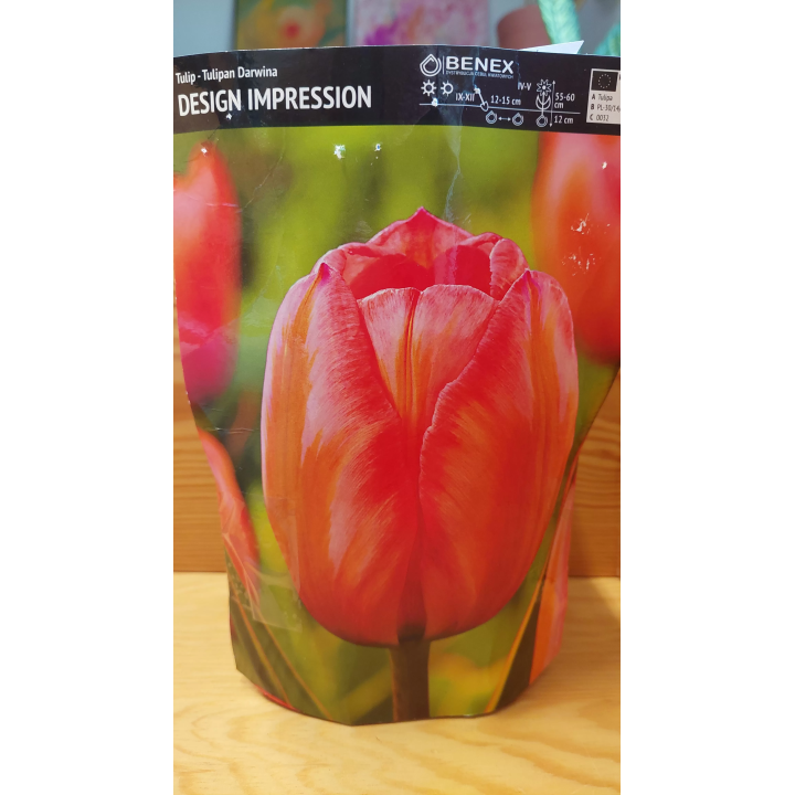 TULIPAN DESIGN IMPRESSION 1 SZT.