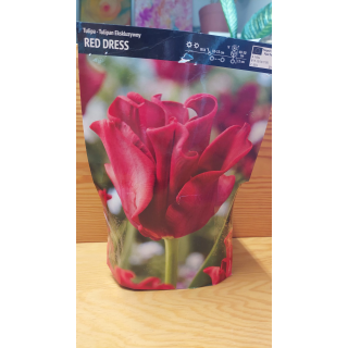 TULIPAN RED DRESS 11/12 1 SZT.