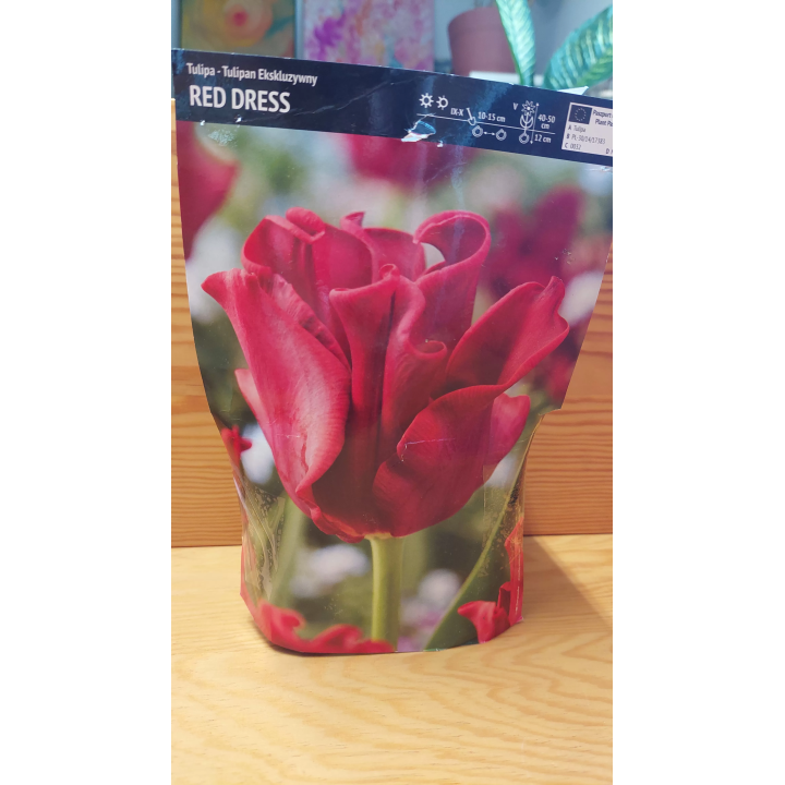 TULIPAN RED DRESS 11/12 1 SZT.