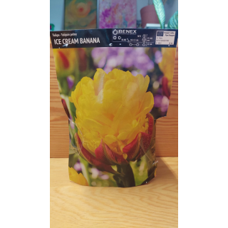 TULIPAN ICE CREAM BANANA 11/12 1 SZT.