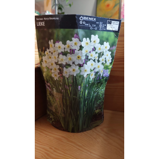 Narcyz Lieke 12/14 1 Szt.