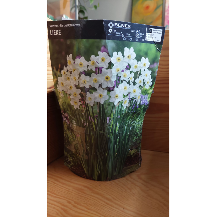Narcyz Lieke 12/14 1 Szt.