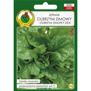 SZPINAK OLBRZYM ZIMOWY 20g
