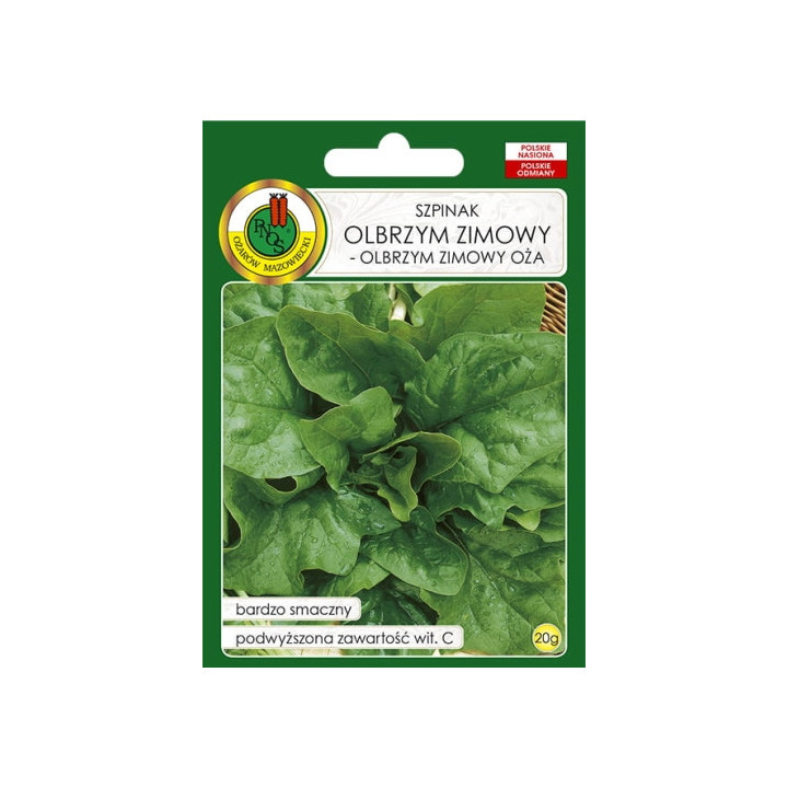 SZPINAK OLBRZYM ZIMOWY 20g
