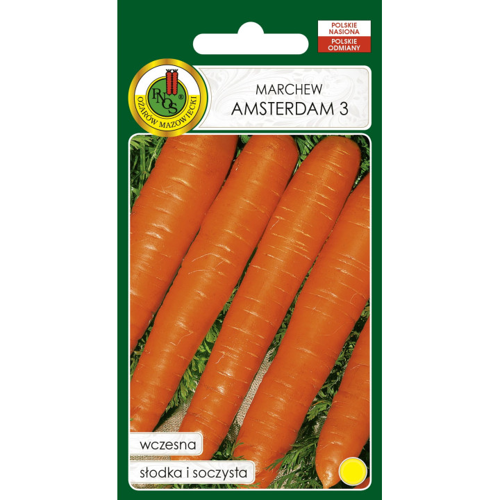 MARCHEW JADALNA AMSTERDAM 3 5g