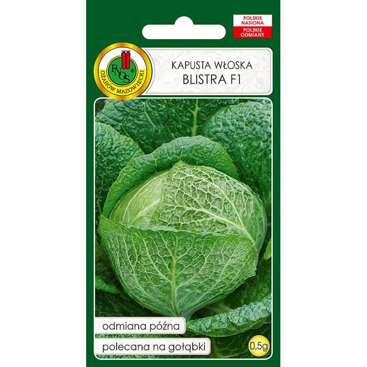 KAPUSTA GŁOWIASTA WŁOSKA BLISTRA F1 0,5g