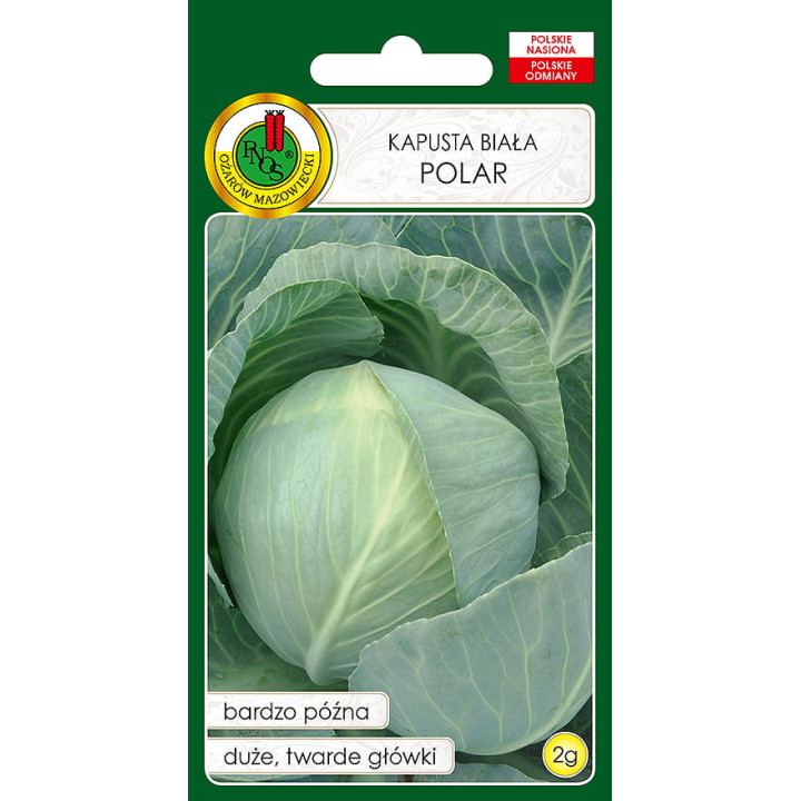 KAPUSTA GŁOWIASTA BIAŁA POLAR 2g