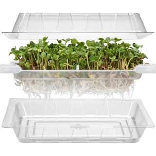 KIEŁKOWNICA PNOS - MINI