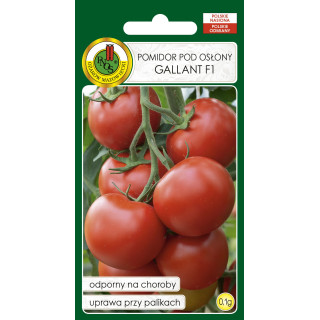 POMIDOR POD OSŁONY GALLANT F1 0,1g