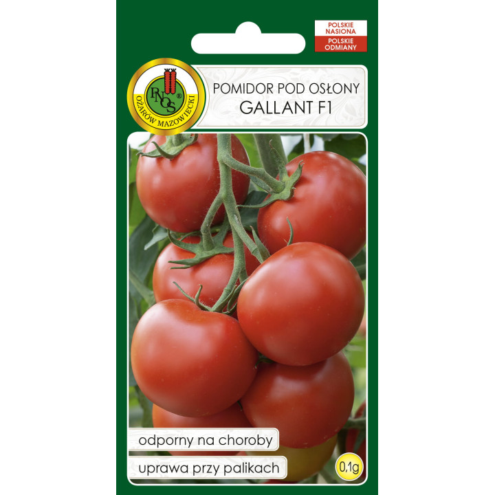 POMIDOR POD OSŁONY GALLANT F1 0,1g