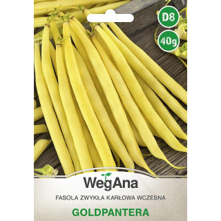 Fasola zwykła karłowa Goldpantera 40g WegAna