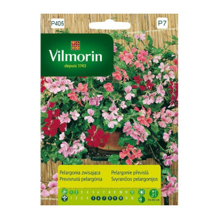 PELARGONIA ZWISAJĄCA MIX 5 ZIAREN