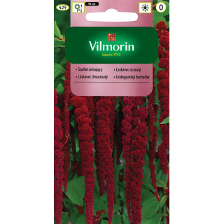 Szarłat zwisający ciemnoczerwony 2g