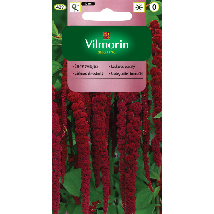 Szarłat zwisający ciemnoczerwony 2g