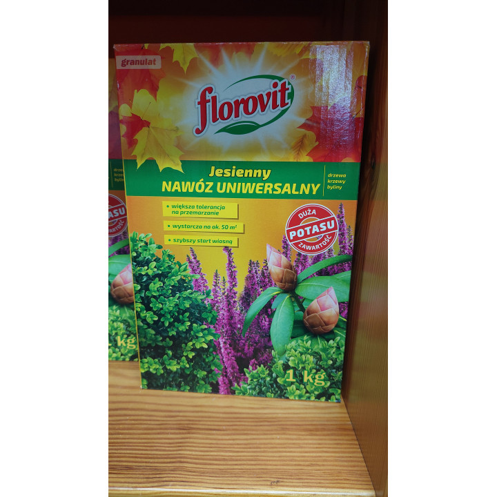 NAWÓZ FLOROVIT KARTON JESIENNY UNIWERSALNY 1kg