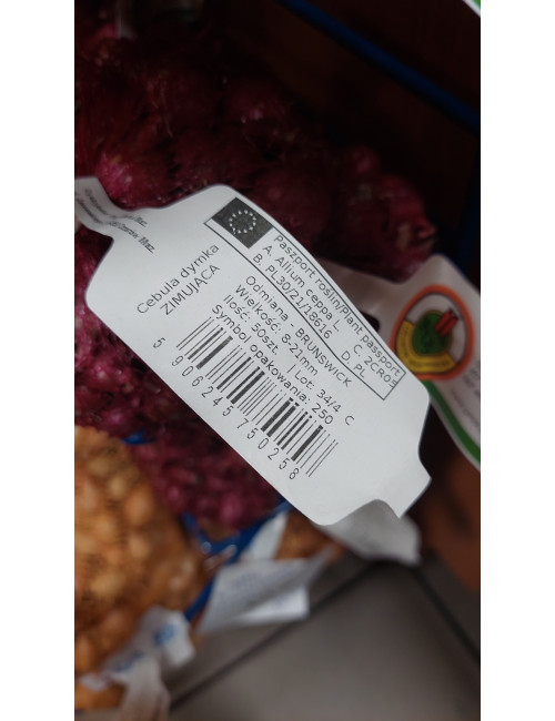 CEBULA DYMKA ZIMOWA op.. 250g CZERWONA BRUNSWICK 8-21mm