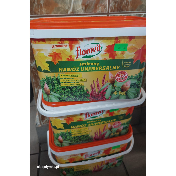 NAWÓZ FLOROVIT JESIENNY 4KG UNIWERSALNY WIADERKO