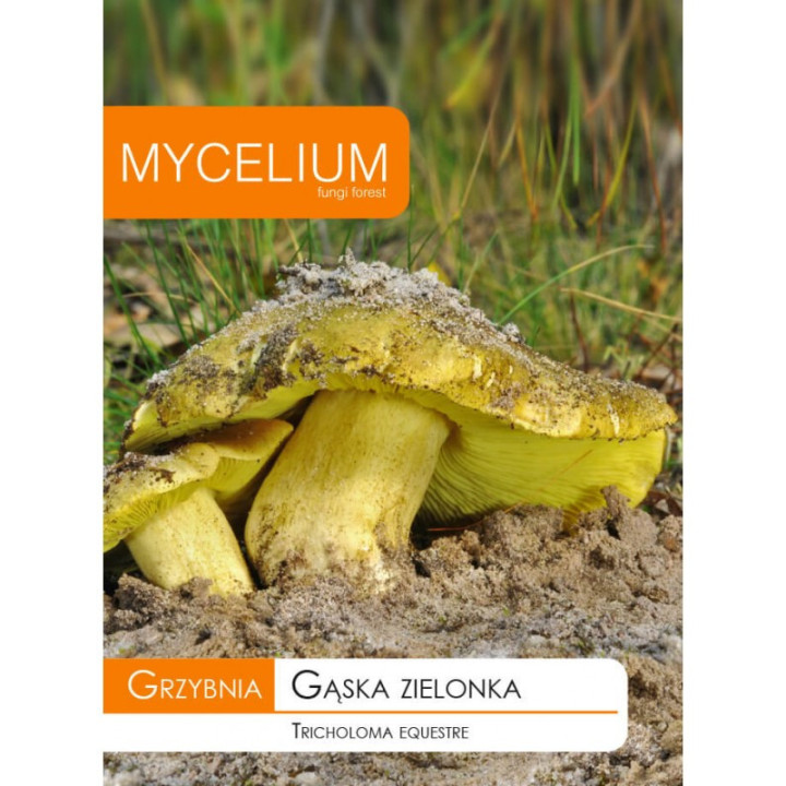 GRZYBNIA GĄSKA ZIELONKA 10g