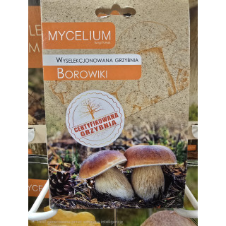 GRZYBNIA BOROWIKI 120ml