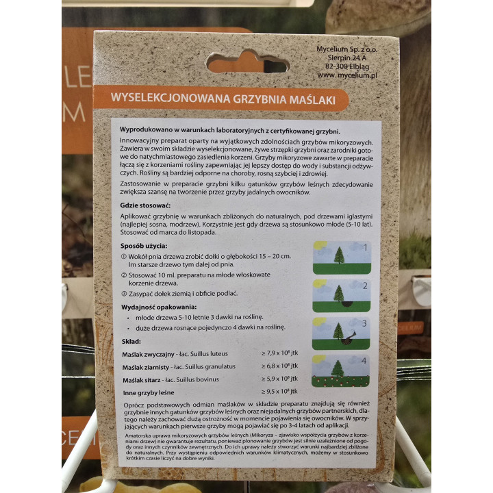 GRZYBNIA MAŚLAKI 120ml